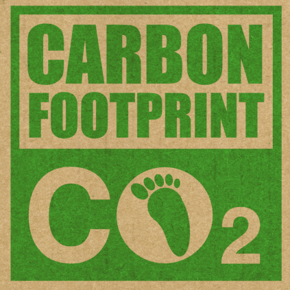 Carbon footprint labels on products: A guide for consumers and businesses - SHOP NO2CO2