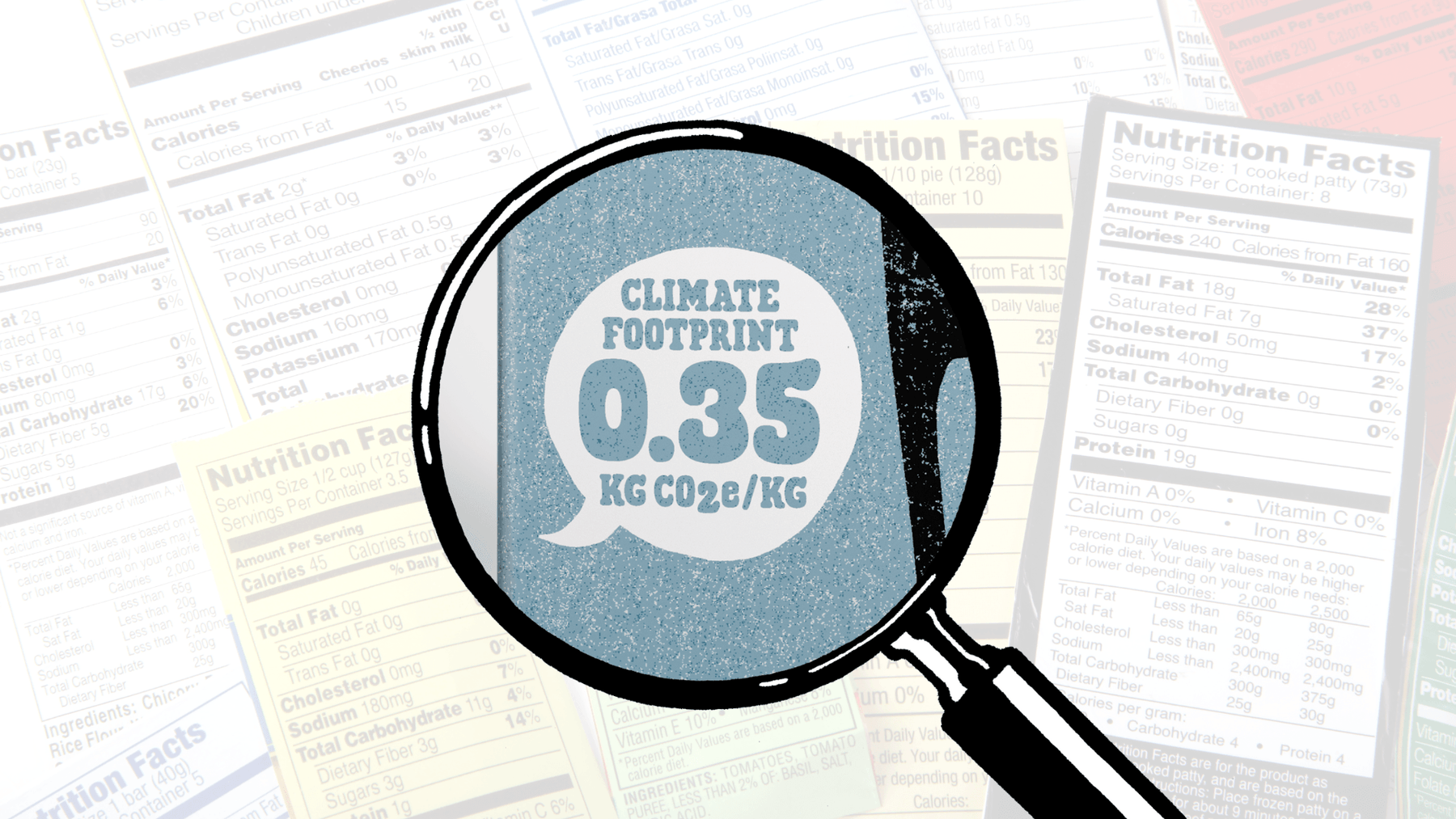 Environmental Innovators: Top Brands Implementing Carbon Footprint Labels - SHOP NO2CO2