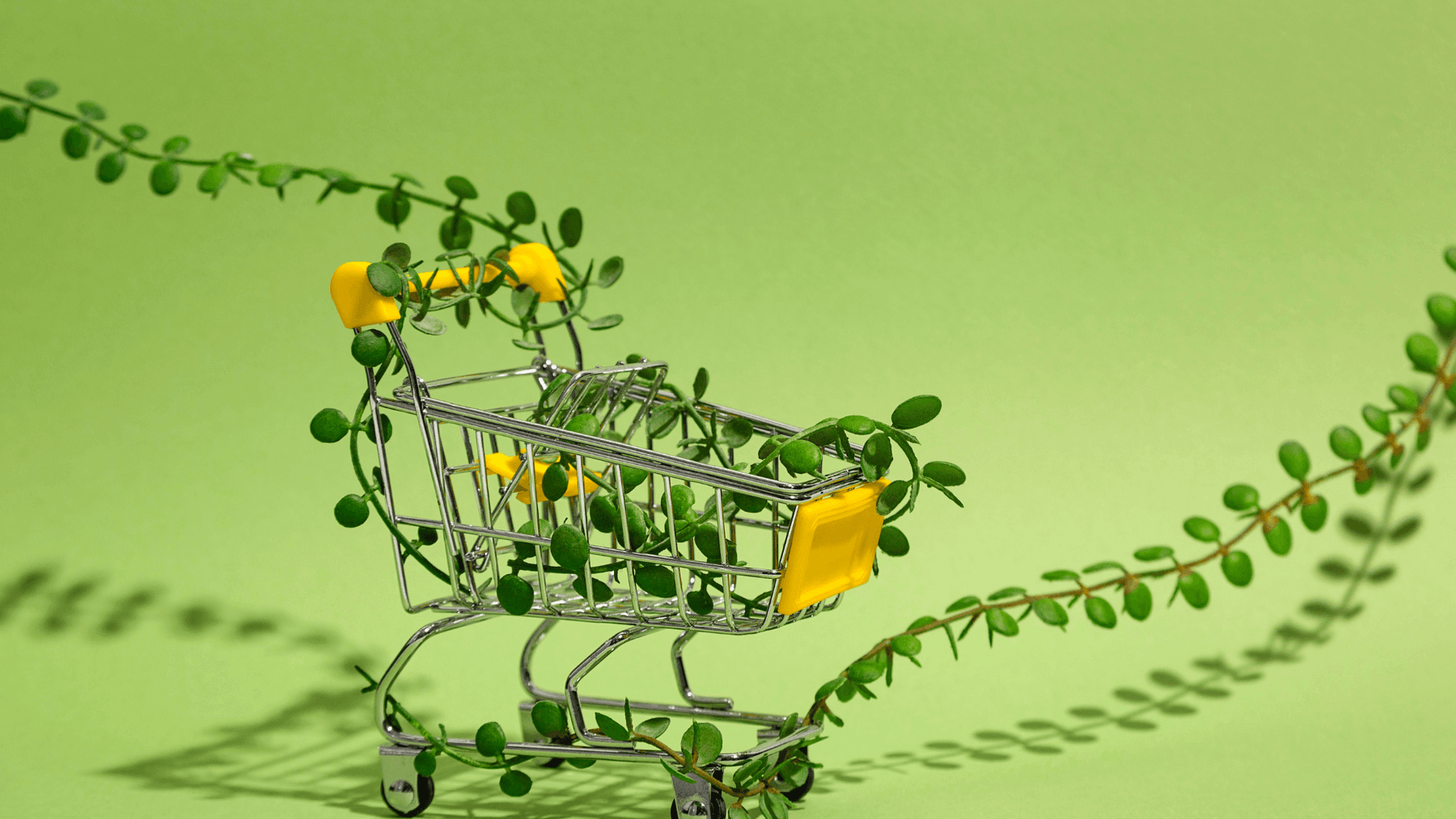 Going Green, Growing Green: The Rise of Green Marketing - SHOP NO2CO2