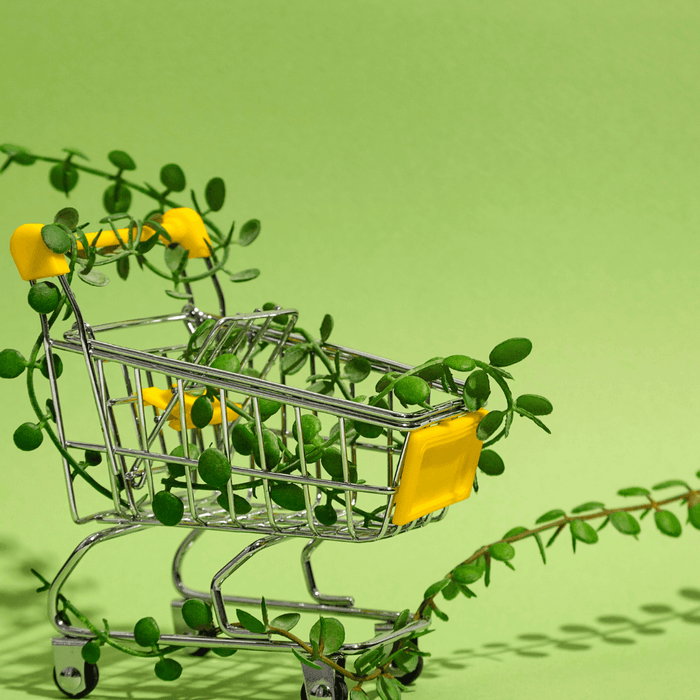 Going Green, Growing Green: The Rise of Green Marketing - SHOP NO2CO2