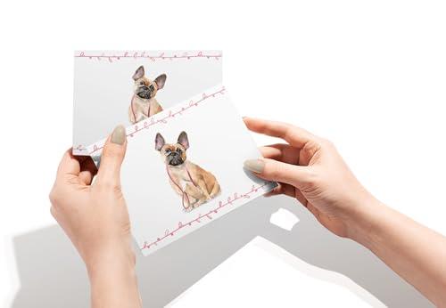 Twigs Paper - French Bulldog Note Cards - Set of 12 Blank Cards (5.5 x 4.25 Inch) with 12 Envelopes - 100% EcoFriendly Stationery - Made In USA - SHOP NO2CO2