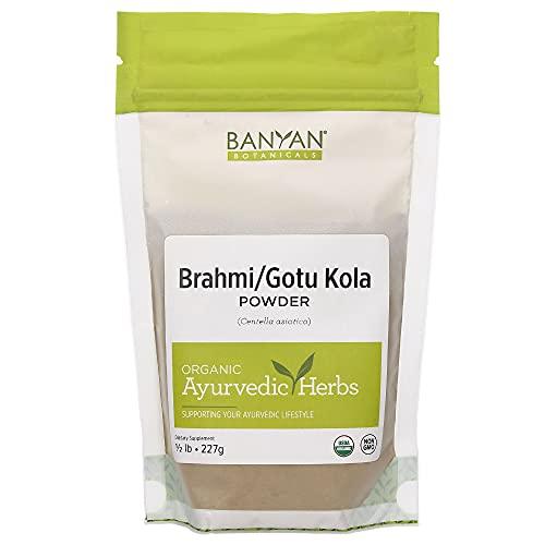 Banyan Botanicals Brahmi/Gotu Kola Powder – Organic Centella Asiatica ­­–Supports Focus, Concentration, Alertness, and a Balanced Sense of Calm* – ½ lb. – Non-GMO Sustainably Sourced Vegan - SHOP NO2CO2