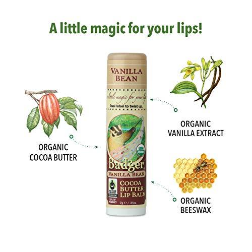 Badger - Cocoa Butter Lip Balm, Creamy Cocoa, Certified Organic Lip Balm, Fair Trade, Natural Lip Balm, Lip Butter, Lip Balm Cocoa Butter, Cocoa Care Lip Balm, 0.25 oz - SHOP NO2CO2