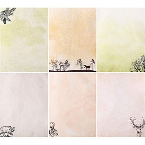 60 Sheets Stationary writing paper with 6 Forest and Animals Styles Writing Stationary Papers Letter Double Sided Writing Paper, 8.5 x 11 Inch - SHOP NO2CO2