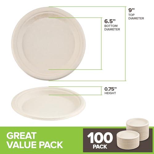 Stock Your Home 100% Compostable Plates 9 Inch (100 Count) Large Heavy Duty Biodegradable Paper Plate for Dinner, Eco-Friendly Recyclable Disposable Sustainable, Natural Bagasse - SHOP NO2CO2