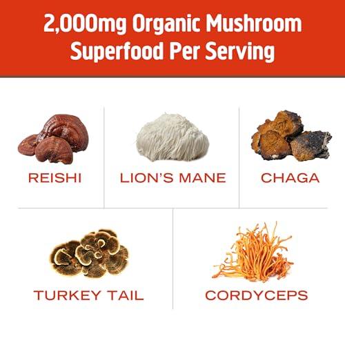 OM Mushroom Superfood Morning Energy Blend Mushroom Powder Drink, 8.47 Ounce Canister, Coffee Free Energy Drink with Cordyceps, Vitamin D2, Agaricus Bisporus, Lion's Mane, Rhodiola, and Turkey Tail - SHOP NO2CO2