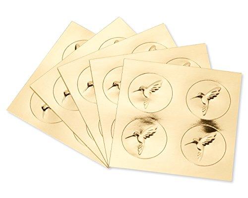 Papyrus Blank Cards with Envelopes, Sea Life (20-Count) - SHOP NO2CO2