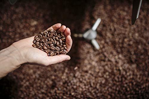 Organic-Fair-Trade-Coffee Medium-Roast, Augusta's 5lb Ground - SHOP NO2CO2