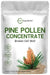 Pure Pine Pollen Powder, 6 Ounce, Wild Harvest an Broken Cell Wall, Supports Immune System Health, Boosts Energy, Antioxidant & Androgenic, No GMOs, Vegan Friendly - SHOP NO2CO2