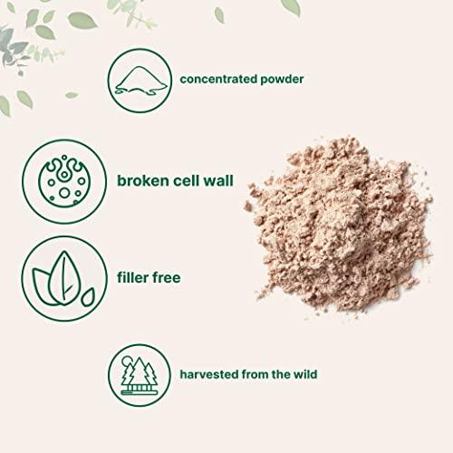 Pure Pine Pollen Powder, 6 Ounce, Wild Harvest an Broken Cell Wall, Supports Immune System Health, Boosts Energy, Antioxidant & Androgenic, No GMOs, Vegan Friendly - SHOP NO2CO2