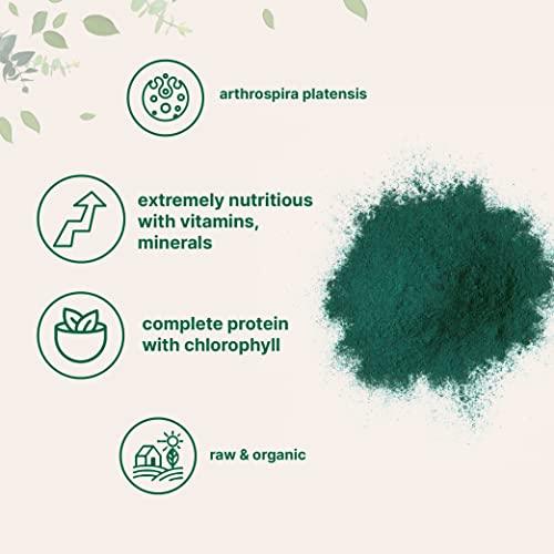 Micro Ingredients Organic Spirulina Powder, 16 Ounce, Raw Spirulina (Arthrospira Platensis), The Richest Sources of 70% Vegan Protein, Containers Minerals, Vitamins, Non-GMO & Non-Irradiation - SHOP NO2CO2