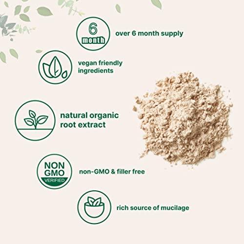 Micro Ingredients Organic Marshmallow Root Powder, 8 Ounce, Filler Free and Traditionally Used, Supports Digestive Gastrointestinal Health, Non-Irradiated and No GMOs, Vegan Friendly - SHOP NO2CO2