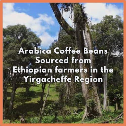 Café Grumpy Ethiopia Farm to Table Yirgacheffe Coffee for French Press, 12oz Bag, Single Origin, Medium Roast, Drip, French Press, Pour Over, Cold Brew (Coarse Grind (French Press)) - SHOP NO2CO2