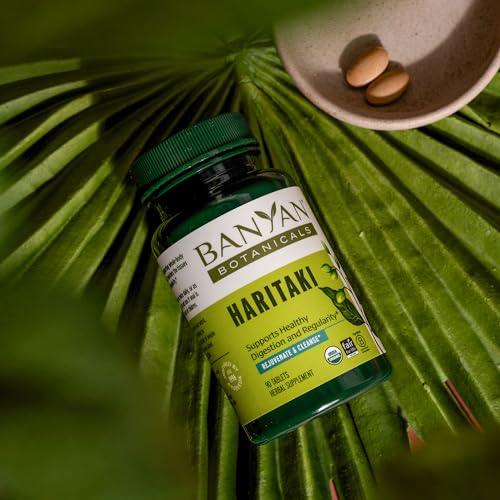 Banyan Botanicals Haritaki Tablets – Certified Organic Terminalia Chebula – Supports Detoxification & Rejuvenation* – 90 Tablets – Non-GMO Sustainably Sourced Certified Fair for Life Fair Trade - SHOP NO2CO2