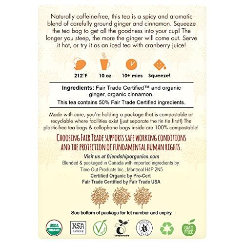 Friendship Organics Ginger Cinnamon Tea Bags, Organic and Fair Trade Herbal Tea 44 Count - SHOP NO2CO2