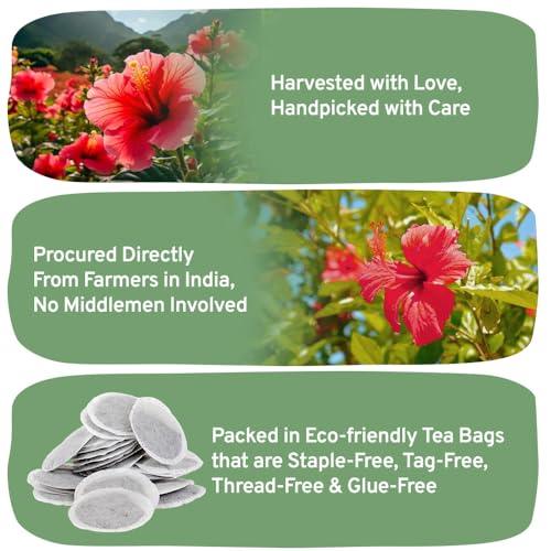 HANDPICK, Hibiscus Tea, Eco-Conscious Tea Bags - 100 Count | Caffeine Free, Pure Ingredients - Hibiscus Flowers | Brew Hot, Iced Tea or Kombucha Tea | Round Nutritious Herbal Tea Bags - SHOP NO2CO2