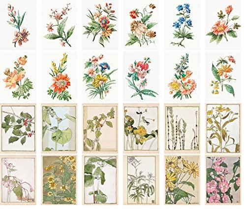 PIXILUV Vintage Postcards (24 pcs 4"x6" each) Wildflowers and Garden Flowers Antique Botannical Book Illustration Vintage Notecards Retro Greeting Card Reprint - SHOP NO2CO2