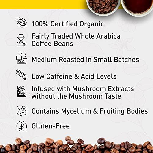 Enerhealth Botanicals NutriCafé Perfomance Enhancer – Fairly Traded, Low Acid, Medium Roast Whole Arabica Bean Coffee, Infused with Organic Mushroom Extracts to Increase Stamina & Performance – 12 oz - SHOP NO2CO2