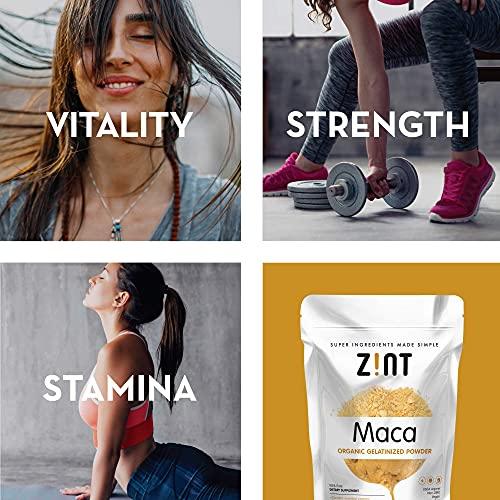 Zint Organic Maca Powder: Paleo Certified, Gelatinized, Non GMO, Yellow Maca Root - Adaptogen Superfood for Smoothies and Baking (8 oz) - SHOP NO2CO2