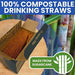 Vallo Compostable Drinking Straws - 100% Biodegradable, Recyclable, Non-Soggy, Suitable for Hot and Cold Drinks, Eco-friendly Sugarcane Material, NOT Paper, 8" Standard Size - 100 Count - SHOP NO2CO2