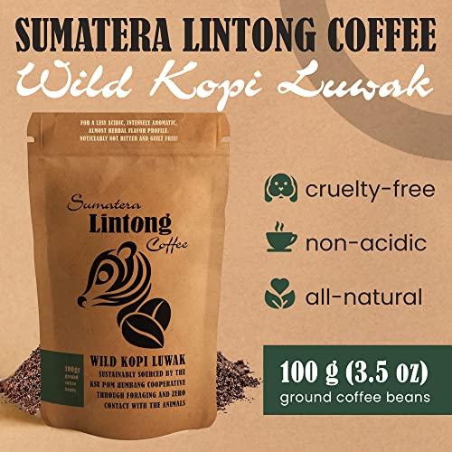 Ground Wild Kopi Luwak, the World’s Most Exclusive Coffee, Sustainably Sourced From Sumatra, Indonesia (Ground Coffee, 100gr) - SHOP NO2CO2