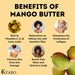 100% Pure Mango Butter, Raw, Organic, & Unrefined, Chemical-Free, Natural Skin Moisturizer, Great for DIY Body Butters, Lip Balm, Sun tanning Soaps, & Lotions (5 lb) - SHOP NO2CO2