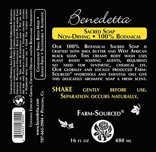 Benedetta Natural Sacred Soap - Lye-Free Body Wash, Cleanser, & Moisturizing Bath Gel Made with Fair-Trade Shea Butter & West African Black Soap for Dry & Sensitive Skin – 16 fl oz Fresh Scent - SHOP NO2CO2