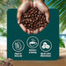 South Beach Epic Java Decaf Premium Gourmet Medium Roast | Whole Bean Coffee 100% Arabica | Ethically Sourced Peruvian Single-Origin | 12 oz Rich Aroma Ready to Grind - SHOP NO2CO2