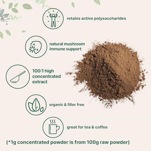 Micro Ingredients Organic Reishi Mushroom Powder, 16oz | 100:1 Extract, Red Reishi Mushrooms Supplement | Great for Mushroom Coffee or Tea | Non-GMO - SHOP NO2CO2