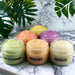 Exfoliating Sugar Body Scrub - Shea Butter with Grapeseed Oil and Jojoba Oil for Dry Skin (Eucalyptus Mint) - SHOP NO2CO2