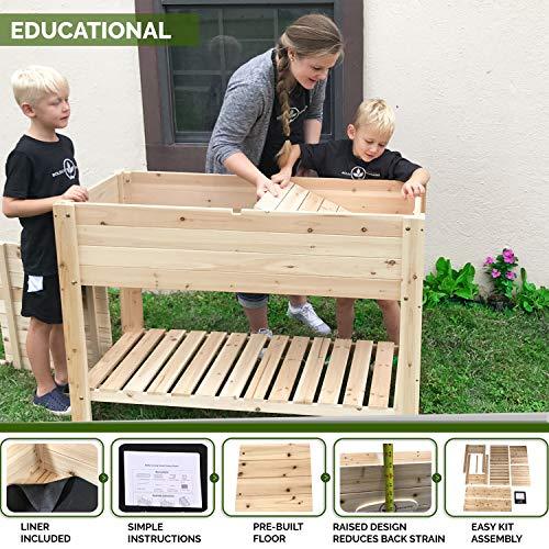 Boldly Growing Cedar Raised Planter Box with Legs – Elevated Wood Raised Garden Bed Kit – Grow Herbs and Vegetables Outdoors – Naturally Rot-Resistant - Unmatched Strength Lasts Years (4x2) - SHOP NO2CO2