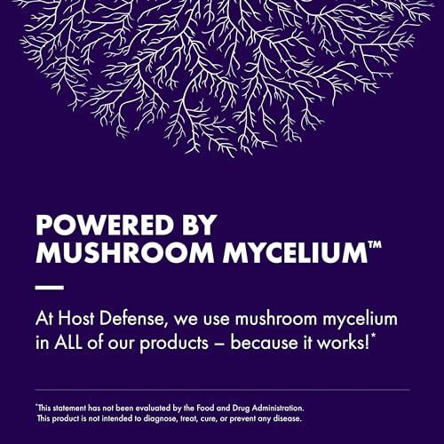 Host Defense MycoBrew Cocoa - Cocoa Powder Drink Mix Includes Lion's Mane Mushroom - Superfood Powder Drink Mix with Fair Trade Certified Cocoa - 10 Packets - SHOP NO2CO2