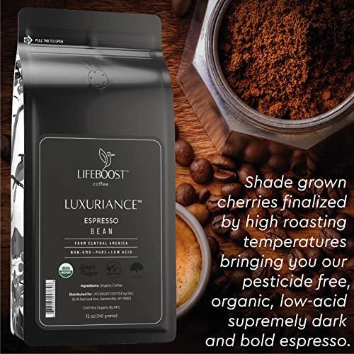 Lifeboost Coffee Espresso Whole Beans Coffee - Low Acid Single Origin USDA Organic Coffee - Non-GMO Espresso Coffee Third Party Tested For Mycotoxins & Pesticides (Espresso Whole Bean 12oz x 3 pack) - SHOP NO2CO2