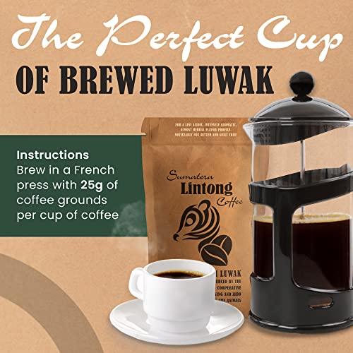 Ground Wild Kopi Luwak, the World’s Most Exclusive Coffee, Sustainably Sourced From Sumatra, Indonesia (Ground Coffee, 100gr) - SHOP NO2CO2