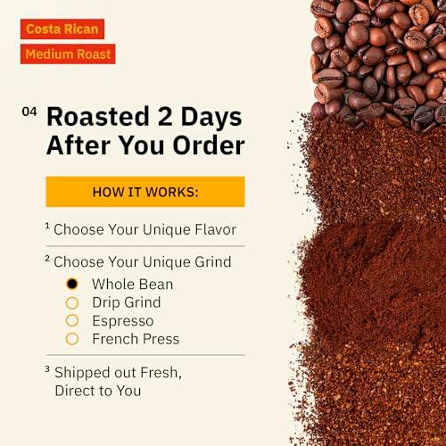 Costa Rican Whole Bean Coffee Medium Roast - 12 oz, Single Origin Arabica SpecialtyCoffee Beans, Fair Trade, Non-GMO - SHOP NO2CO2