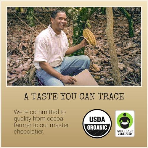 Chocolove Organic Dark Chocolate Bars | 73% Cocoa | Certified Fair Trade Organic Belgium Chocolate | Ethically Sourced, Non-GMO, 3.2 oz Bar (12 Pack) - SHOP NO2CO2