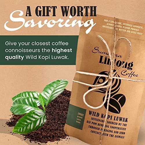 Ground Wild Kopi Luwak, the World’s Most Exclusive Coffee, Sustainably Sourced From Sumatra, Indonesia (Ground Coffee, 100gr) - SHOP NO2CO2