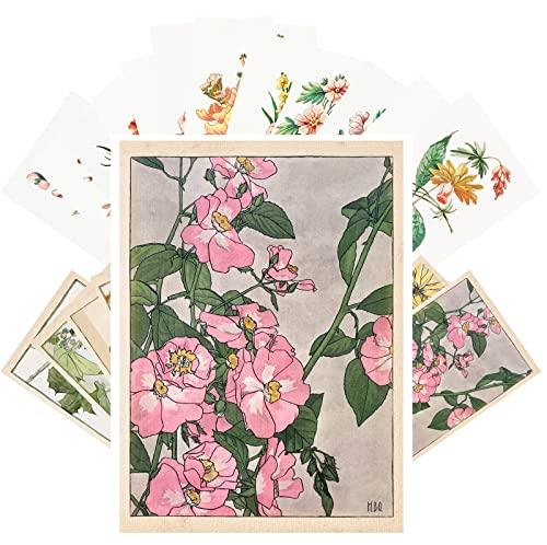 PIXILUV Vintage Postcards (24 pcs 4"x6" each) Wildflowers and Garden Flowers Antique Botannical Book Illustration Vintage Notecards Retro Greeting Card Reprint - SHOP NO2CO2