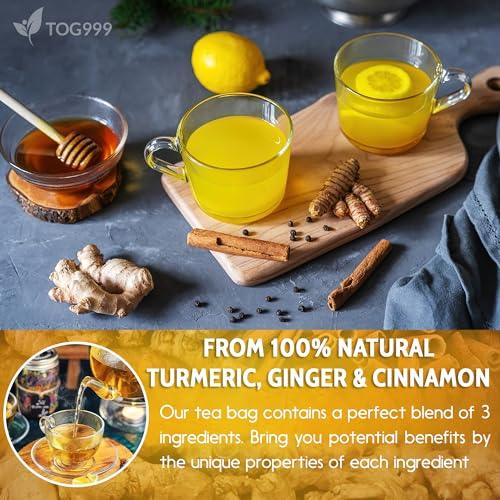 120 Bags Premium Turmeric Ginger Cinnamon Tea, Improve Digestion, Support Brain, Weight, Skin and Sleep, Eco-Conscious Tea Bags and Premium Natural Ingredients. Turmeric Ginger Herbal Tea. No Sugar, No Caffeine, No Gluten, Vegan. - SHOP NO2CO2