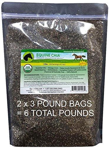 Equine Chia Brand - 6 Pounds of Certified Organic Chia Seeds in 2 x 3 Pound Bags - SHOP NO2CO2