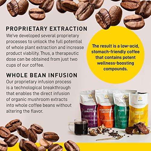 Enerhealth Botanicals NutriCafé Perfomance Enhancer – Fairly Traded, Low Acid, Medium Roast Whole Arabica Bean Coffee, Infused with Organic Mushroom Extracts to Increase Stamina & Performance – 12 oz - SHOP NO2CO2