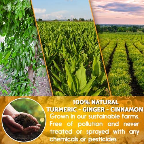 120 Bags Premium Turmeric Ginger Cinnamon Tea, Improve Digestion, Support Brain, Weight, Skin and Sleep, Eco-Conscious Tea Bags and Premium Natural Ingredients. Turmeric Ginger Herbal Tea. No Sugar, No Caffeine, No Gluten, Vegan. - SHOP NO2CO2