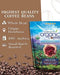 2LB Subtle Earth Organic Coffee - Medium-Dark Roast - Whole Bean Coffee - 100% Arabica Beans - Low Acidity and Non-GMO - 2lb bag - SHOP NO2CO2