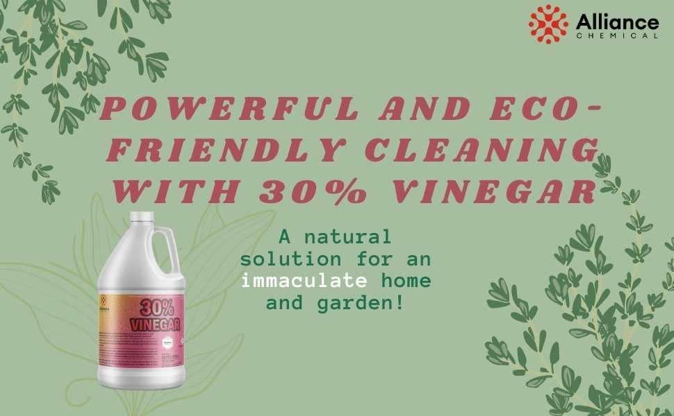 30% Vinegar - 1 Quart - Concentrated Industrial Strength - SHOP NO2CO2