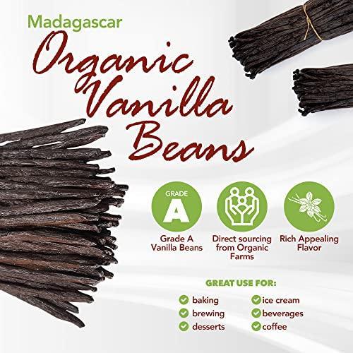 50 Organic Grade A Madagascar Vanilla Beans. Certified USDA Organic. ~5" by FITNCLEAN VANILLA. Bulk for Extract and all things Vanilla. Fresh Bourbon NON-GMO Pods - SHOP NO2CO2