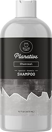 Activated Charcoal Shampoo for Oily Hair - Sulfate Free Clarifying Shampoo for Build Up and Scalp Detox - Deep Cleansing Shampoo for Greasy Hair and Scalp Cleanser for Build Up with Moisturizing Oils - SHOP NO2CO2