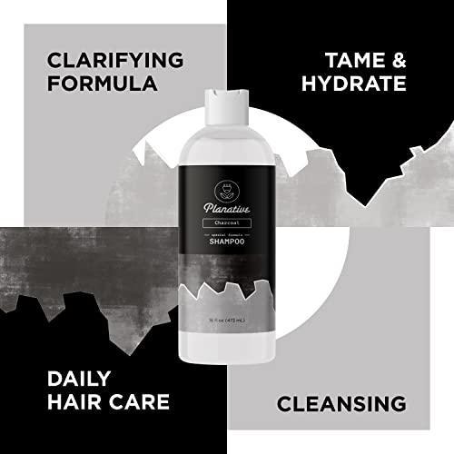 Activated Charcoal Shampoo for Oily Hair - Sulfate Free Clarifying Shampoo for Build Up and Scalp Detox - Deep Cleansing Shampoo for Greasy Hair and Scalp Cleanser for Build Up with Moisturizing Oils - SHOP NO2CO2