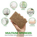 AIRNEX 9 Pack Biodegradable Natural Kitchen Sponge - Compostable Cellulose and Coconut Walnut Scrubber Sponge - Eco Friendly Sponges for Dishes - SHOP NO2CO2