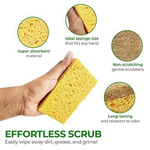 AIRNEX 9 Pack Biodegradable Natural Kitchen Sponge - Compostable Cellulose and Coconut Walnut Scrubber Sponge - Eco Friendly Sponges for Dishes - SHOP NO2CO2