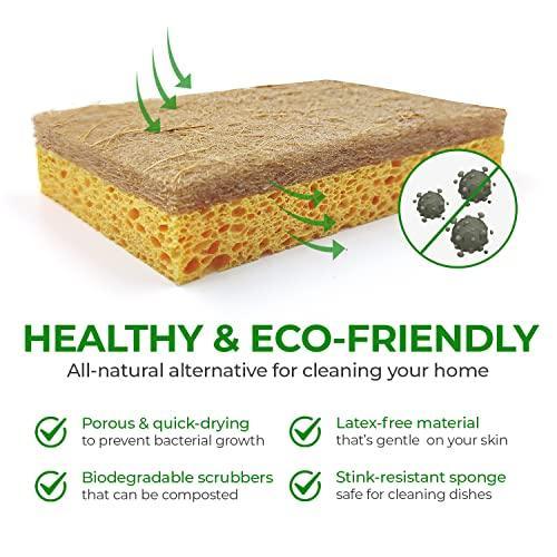 AIRNEX 9 Pack Biodegradable Natural Kitchen Sponge - Compostable Cellulose and Coconut Walnut Scrubber Sponge - Eco Friendly Sponges for Dishes - SHOP NO2CO2